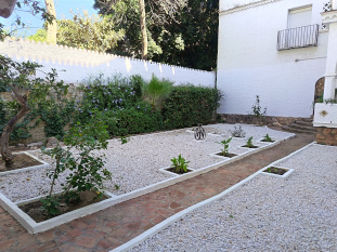 back garden